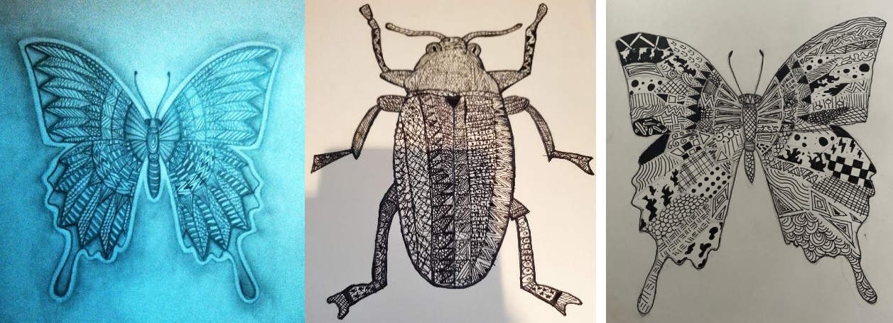 Bugs and beetles artwork for Third Year project